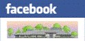 Facebook Badge