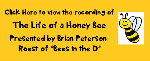 Life of a Honey Bee Presentation.png